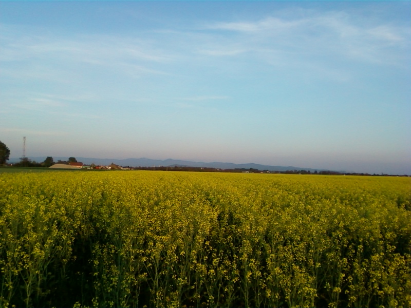 Mooi Roemenië.