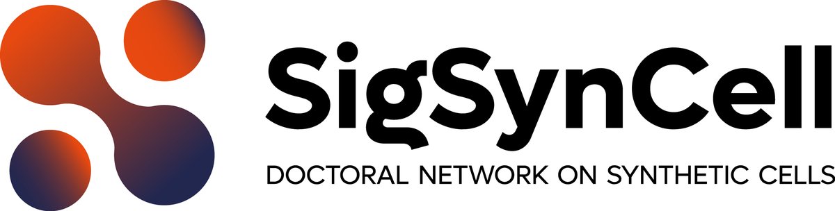 📢Update. We have an official #SigSynCell website: sigsyncell.crpp.cnrs.fr You will find all the information about the 12 PhD offers on synthetic cells engineering and the respective PIs in charge. Thanks for the retweet! #softmatter #syntheticcell #outofequilibrium