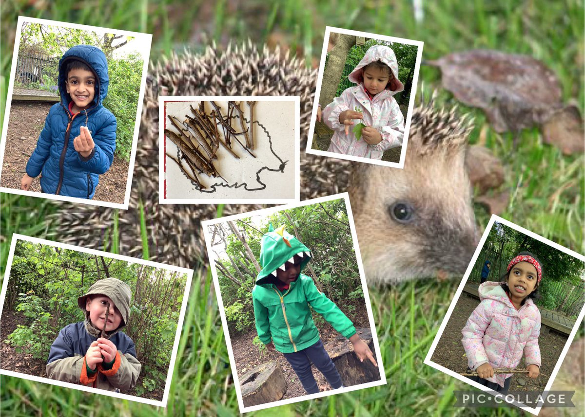 SJLCARDIFF's tweet photo. 🍃🌳🍃 In #Nursery we are learning about creatures that live in the forest 🍃🌳🍃 This week we have been collecting sticks to make a hedgehog collage! 🦔💕🦔 Hyfryd! 🦔💕🦔 #ExploratoryPlay #ScienceInAction @SJLCARDIFF @_OLW_ https://t.co/wkpQCQCweD