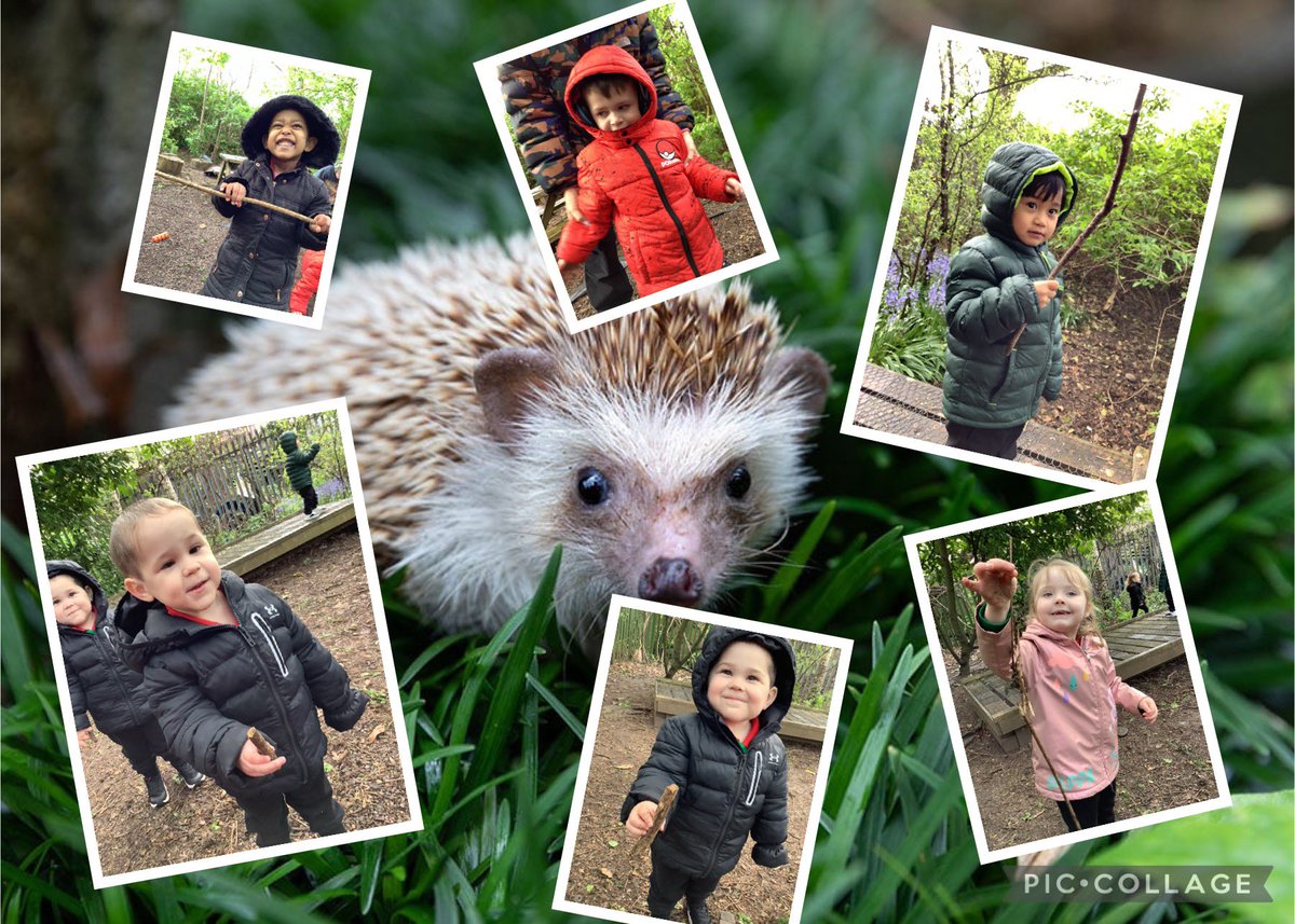 SJLCARDIFF's tweet photo. 🍃🌳🍃 In #Nursery we are learning about creatures that live in the forest 🍃🌳🍃 This week we have been collecting sticks to make a hedgehog collage! 🦔💕🦔 Hyfryd! 🦔💕🦔 #ExploratoryPlay #ScienceInAction @SJLCARDIFF @_OLW_ https://t.co/wkpQCQCweD