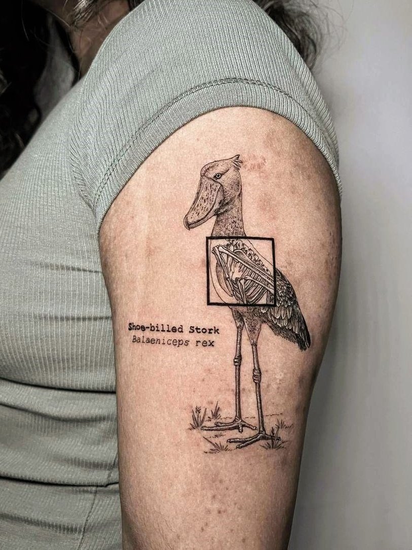 KakapoJay's tweet photo. New tattoo!! One of my favourite modern day dinosaurs, by the amazing @/robbee.ink https://t.co/yuUSdhdmmz
