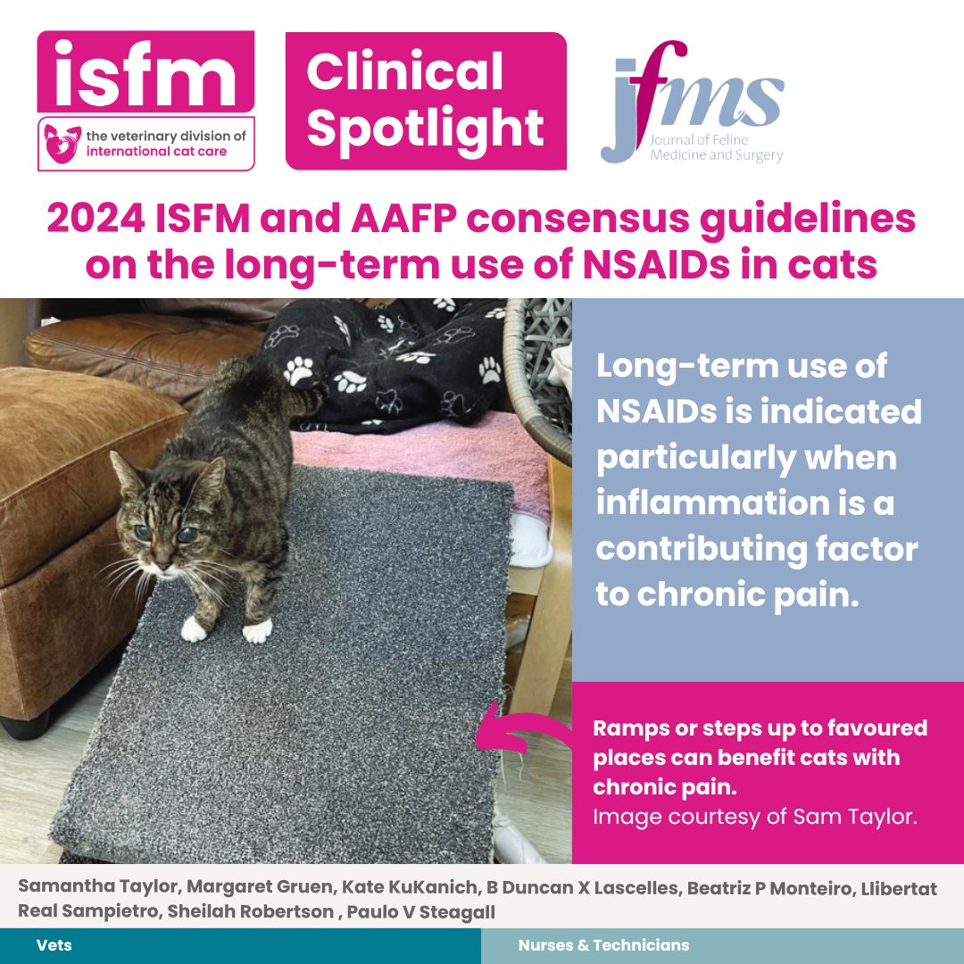 ISFMcats's tweet photo. #ClinicalSpotlight 📖 Vets now have access to the ‘2024 ISFM and AAFP consensus guidelines on the long-term use of NSAIDs in cats’ supporting decision-making in situations of chronic pain 🐈👉 https://t.co/4V4RUcUAET
🎧 Tune in to the next #ISFMchat to hear more
@CatVets https://t.co/wDzXQnKkXN