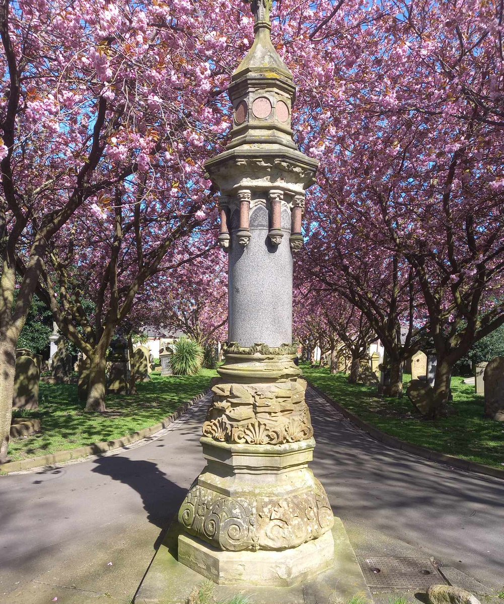 The Cherry Blossoms at full bloom in Grangetown Cemetery, submitted by Paul Emerson #Sunderland