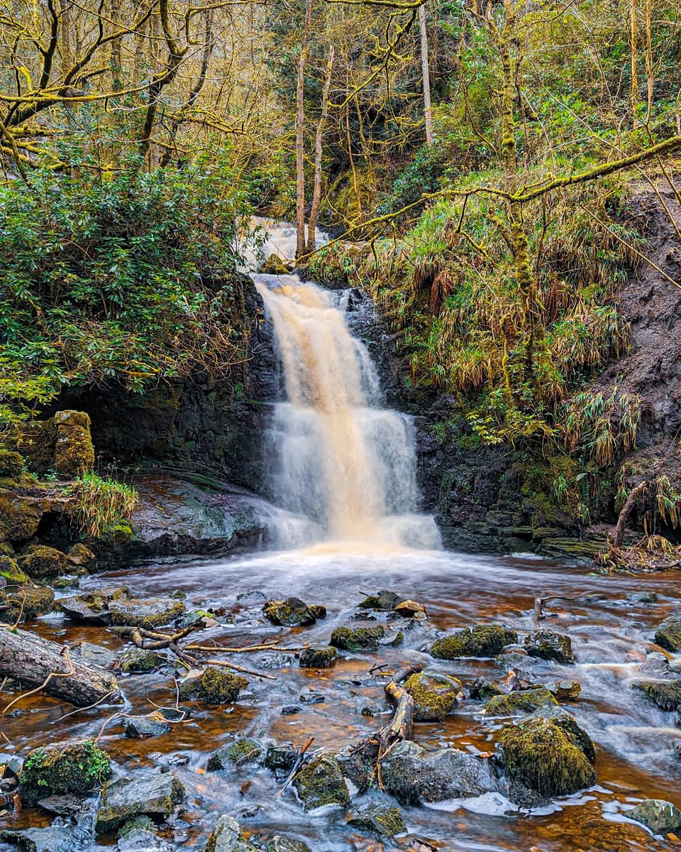 Beautiful waterfall of Nant Y Ffrith, Wrexham, Wales. 💚
Photo by Kimberley Phillips.
#NaturePhotography #NatureBeauty #NatureLover #WeAreNature #waterfall #WALES #Wrexham #nature #photooftheday #photographer #photography #PhotoMode #photo