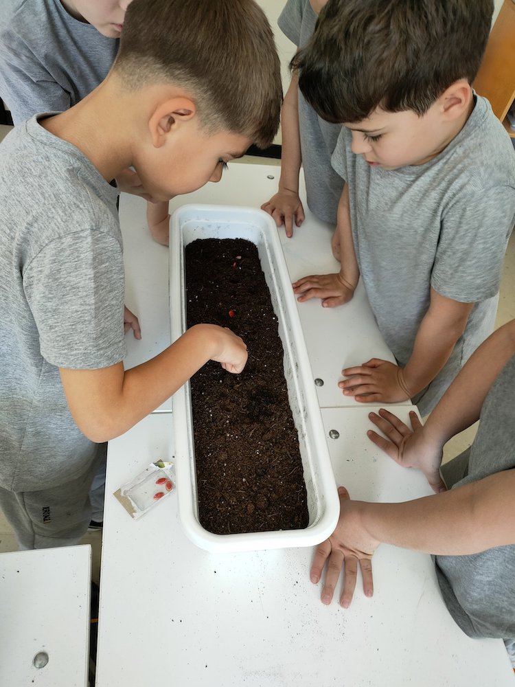 MarysCep's tweet image. @MarysCep we have been planting seeds like our partner @HeritagePrimary in Moldova. Part of our work for #SDG 13. We recycled egg boxes made from plastic waste in the sea to plant our seeds, like a mini propagator @Schools_British @GSchoolAlliance @EcoSchools @fethyletaief