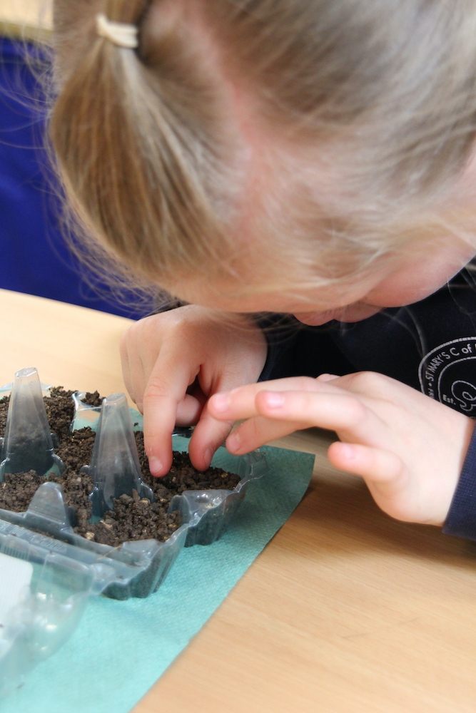 MarysCep's tweet image. @MarysCep we have been planting seeds like our partner @HeritagePrimary in Moldova. Part of our work for #SDG 13. We recycled egg boxes made from plastic waste in the sea to plant our seeds, like a mini propagator @Schools_British @GSchoolAlliance @EcoSchools @fethyletaief