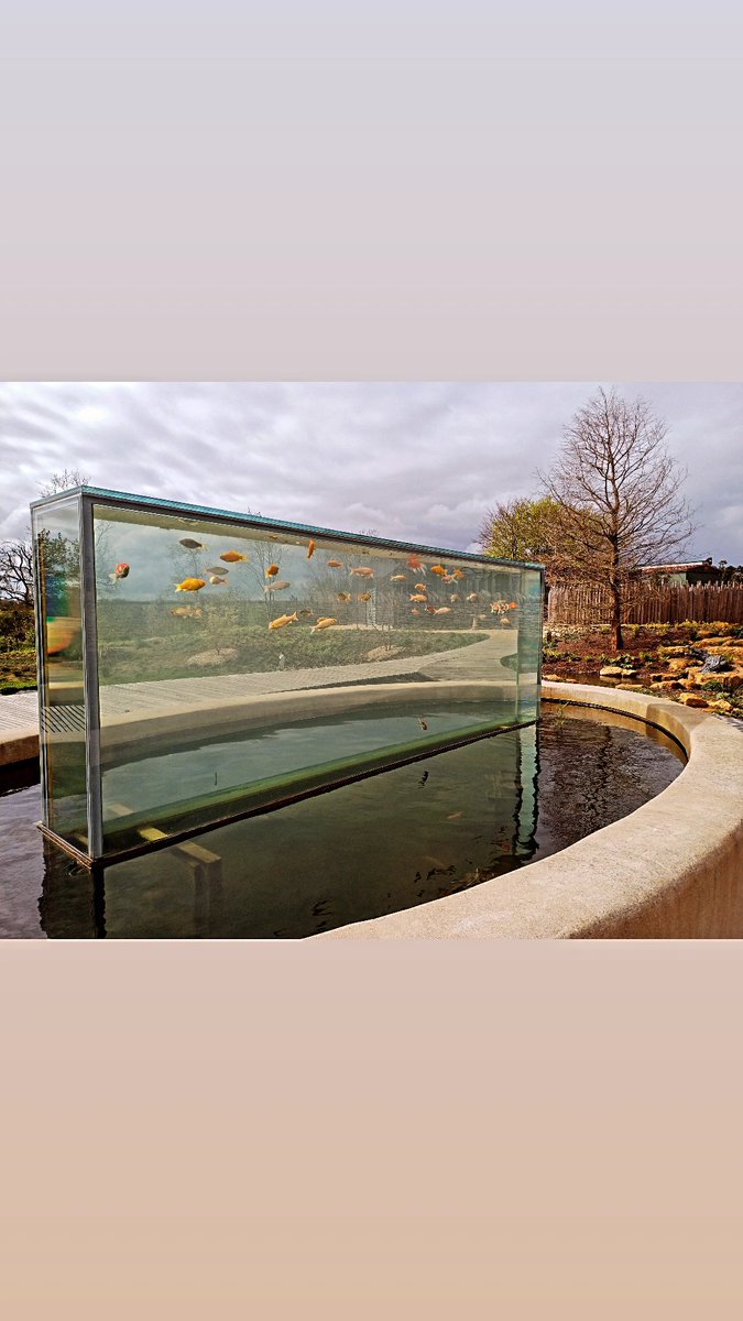 The @thenewtsomerset had out done itself again with the new Four Seasons Garden. Yes it's an outdoor fish tank... Building a garden like this under the wraps is impressive. I do hope your PM teams get recognised for the incredible work they achieve 👏.