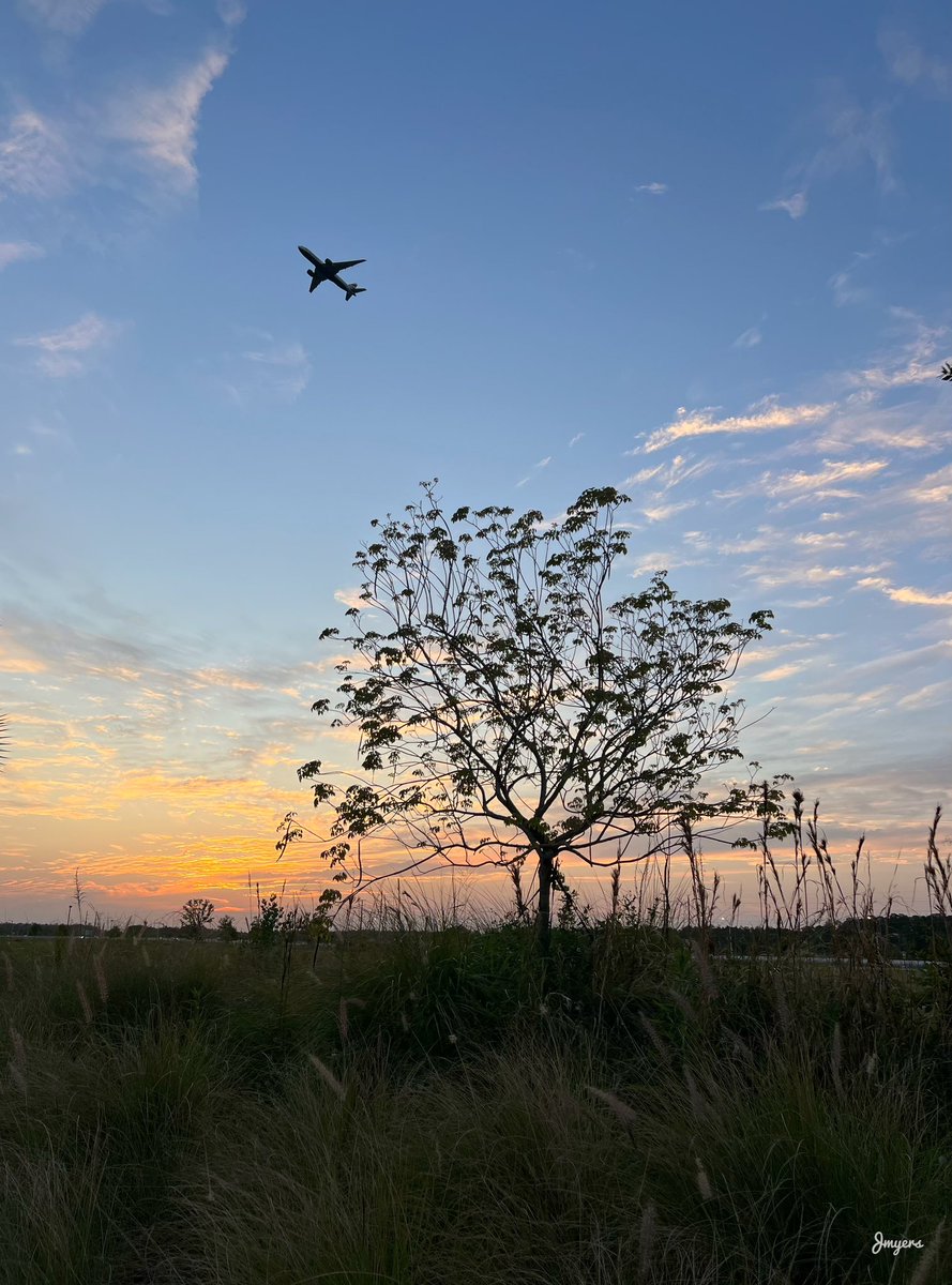 A Lake Nona, Orlando sunrise and an early morning flight.