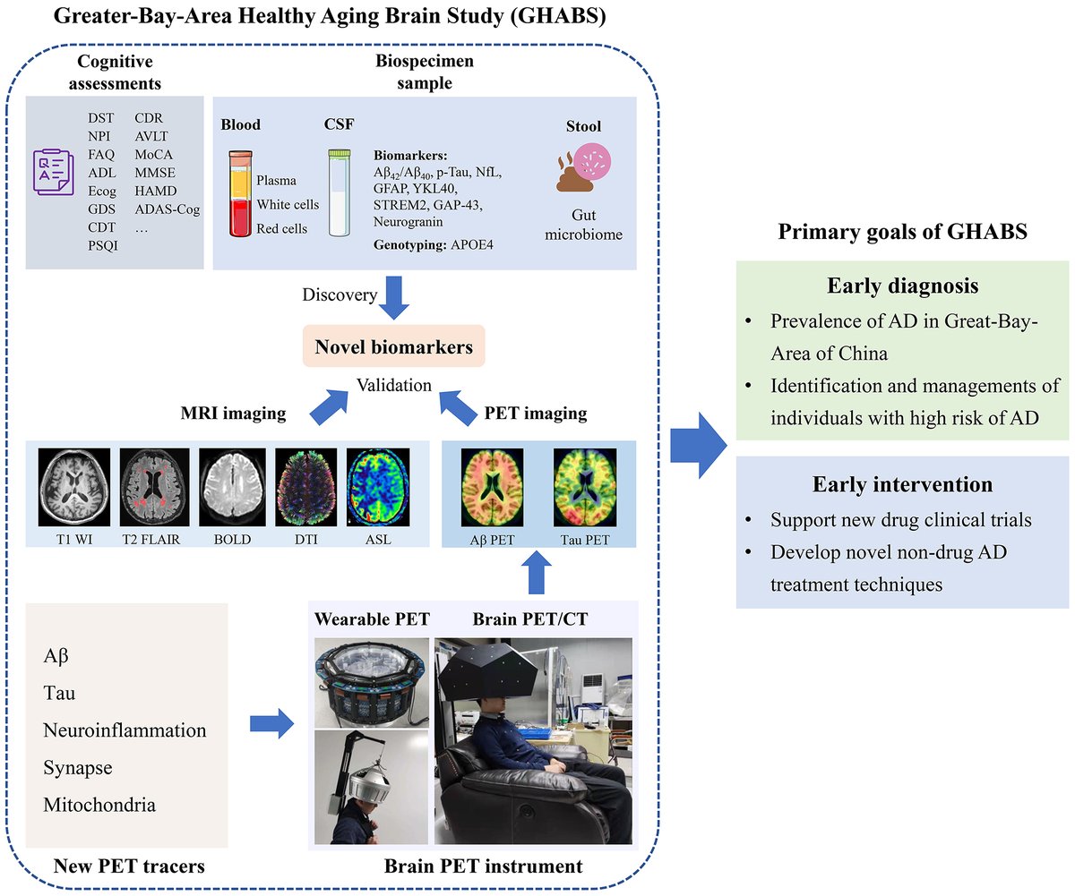 Greeting! Our first paper based on the Greater-Bay-Area Healthy Aging Brain Study (GHABS) was published in @AlzheimersRes (rdcu.be/dE0ow). The GHABS cohort is being established by following the standard protocol of the ADNI cohort, an AD community cohort in South China