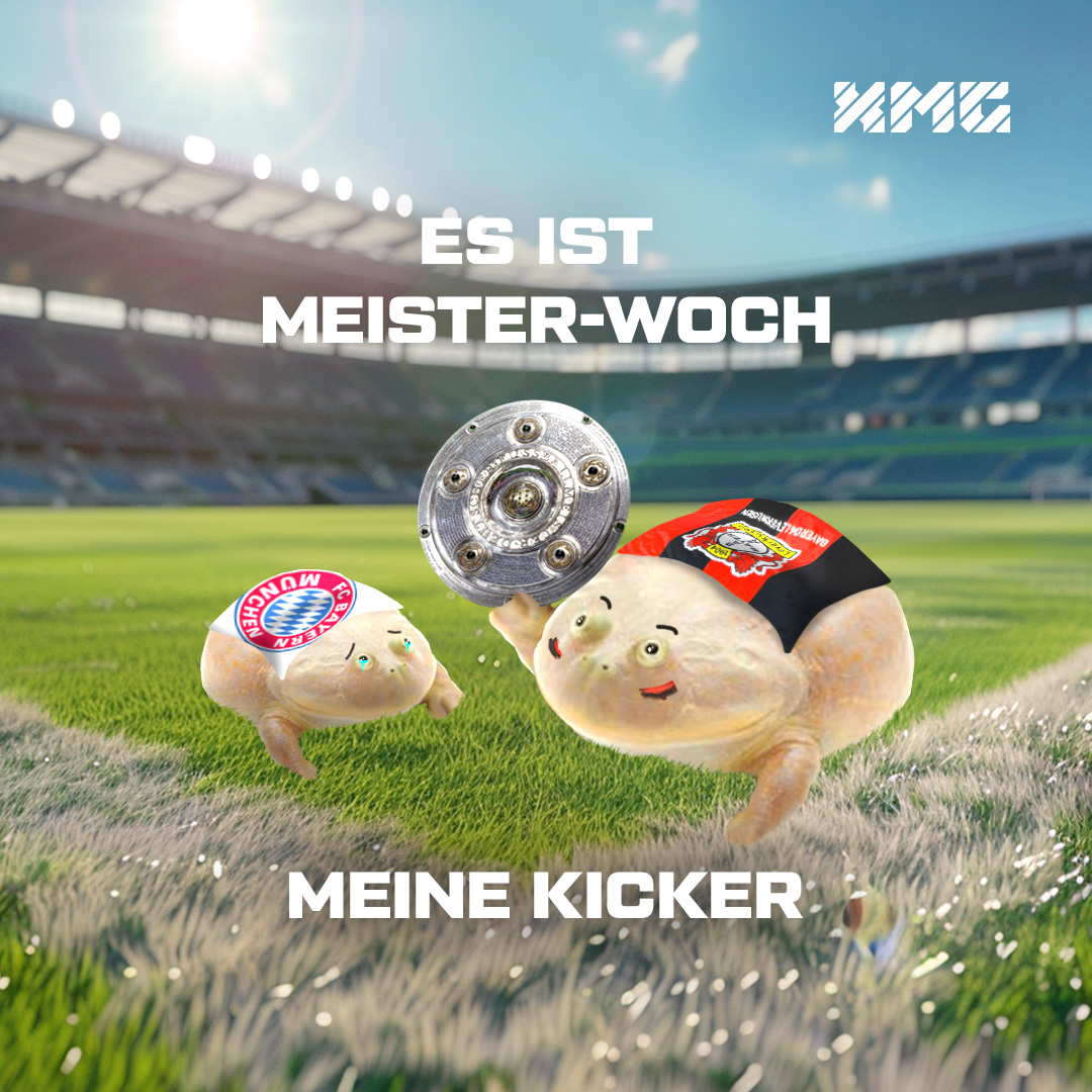 🐸⚽🔴⚫ #Mittwoch #XMG #Meme #Frosch #MittwochsFrosch #XMGFamily #Fußball #Leverkusen