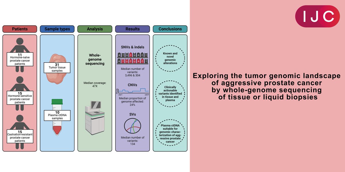 NOW ONLINE @DalsgaardKarina & team at @AarhusUni unveil the potential of liquid biopsies for detailed genomic analysis in advanced/aggressive #ProstateCancer. A promising alternative to traditional tissue biopsies! 🔓OPEN ACCESS ➡️doi.org/10.1002/ijc.34…