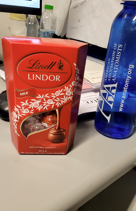 mutahira_lone's tweet photo. "Encouraging dental students with chocolates for their achievements is like sweetening the journey toward brighter smiles – one treat at a time!" I got chocolates in return too-Thanks Milena🤗❤️@AndreToulouse01 @AnatNeuroUCC #endofmodule #toothmorpho https://t.co/8kDJ9r5PIz