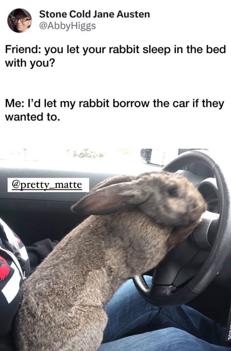 🐇😊