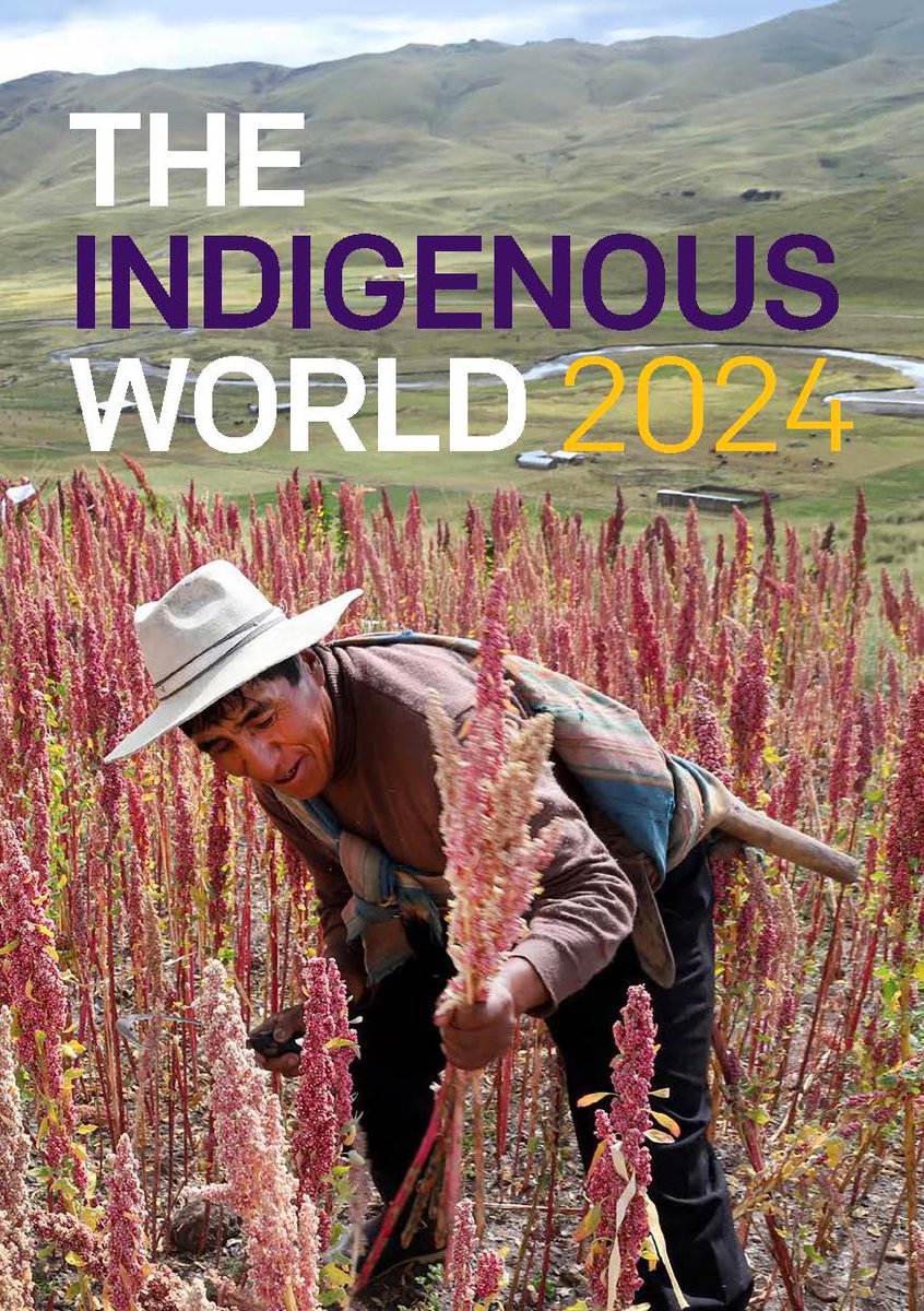 📖🇬🇧 The Indigenous World 2024 is now available on our website: bit.ly/2Vuk1p7 👈 📖🇪🇸 El Mundo Indígena 2024 está ahora disponible en nuestro sitio web: bit.ly/3GBrMOE 👈 #UNPFII2024 #IndigenousPeoples #PueblosIndigenas