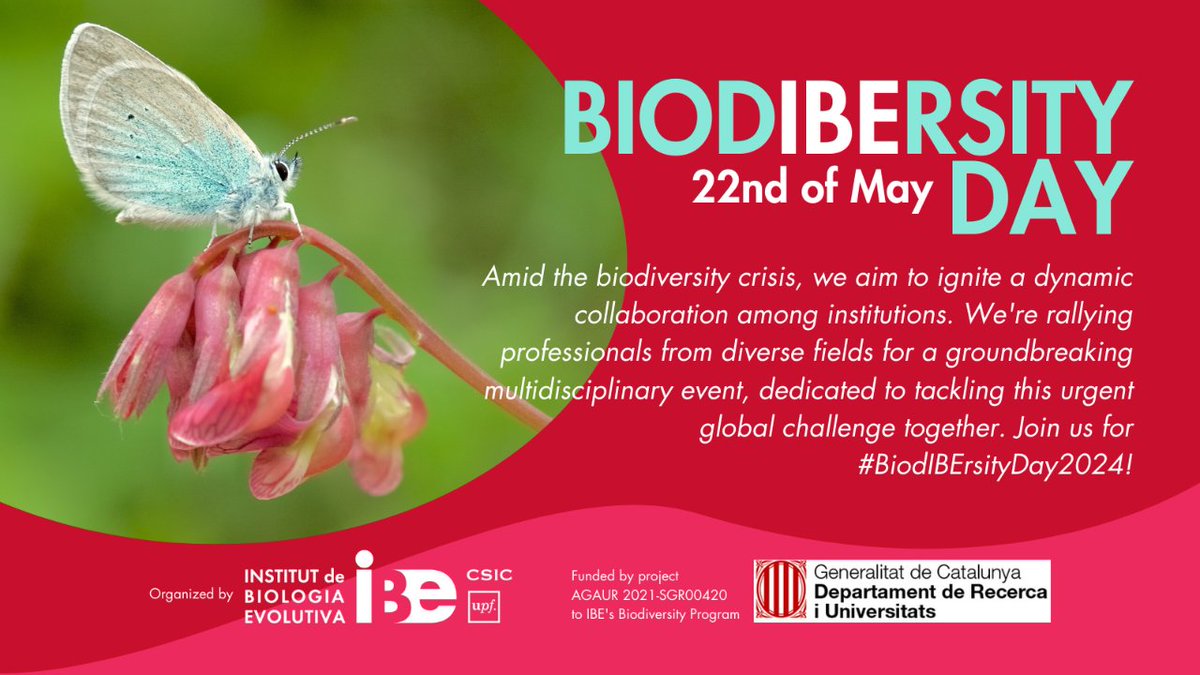 💥BiodIBErsity Day 2024: 22 de mayo💥 El @IBE_Barcelona acoge el primer #BiodIBErsityDay2024 para abordar la crisis de biodiversidad🧬🦠🐆🦋 fomentando la colaboración entre centros de investigación.  📆 22 de mayo 🕛 9-17.30 h 📍  edificio CMIMA ➡️ ibe.upf-csic.es/es/home/-/asse…