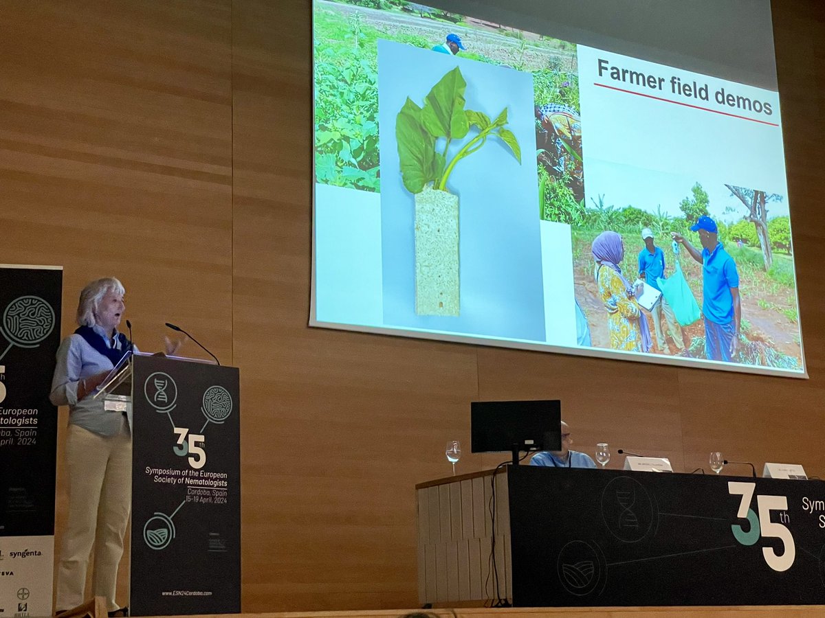 Excellent presentation by the group from <a href="/NemAfrica/">NemAfrica</a> on a unique method to reduce nematode damage on multiple crops for low resource farming #ESN2024