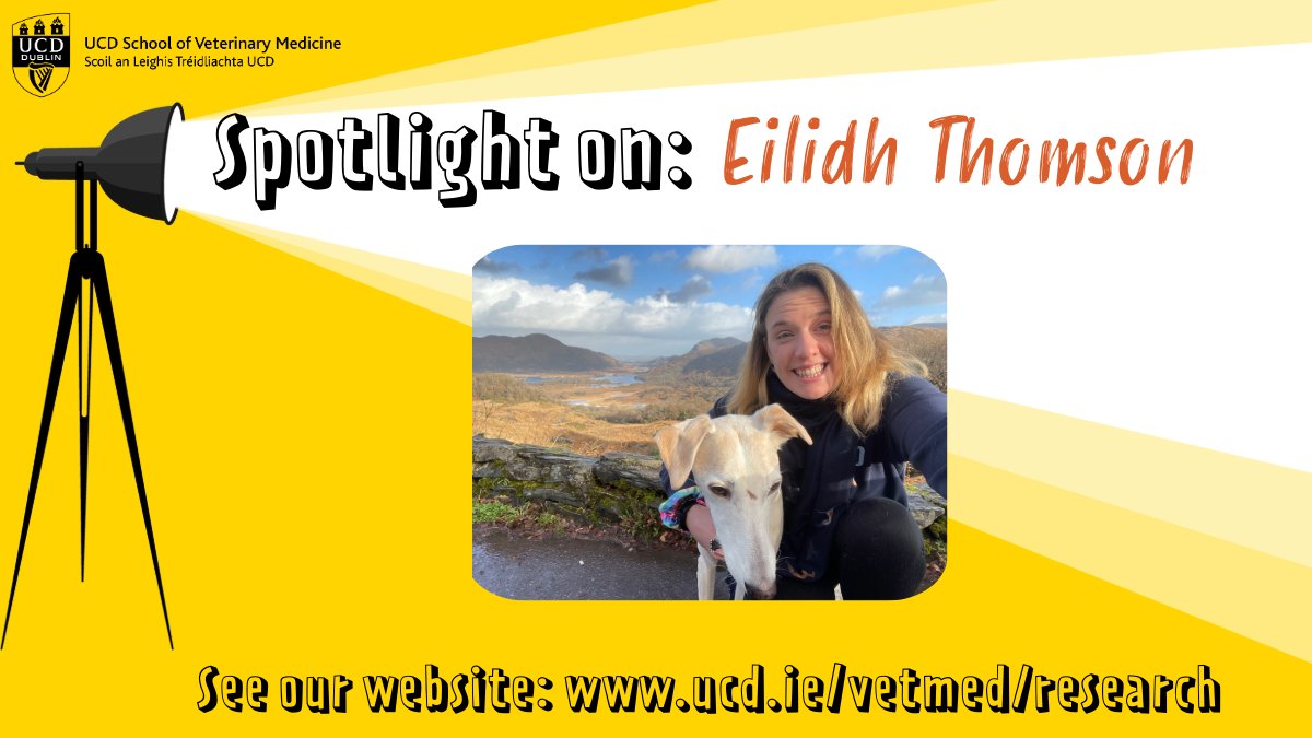 💡🧁🥼 This month, we're putting a Spotlight On Eilidh Thomson, Large Animal Repro Resident, who tells us about growing up in a house full of animals, moving to Dublin in the middle of the pandemic, future travel plans and finding an excuse to bake! See: tinyurl.com/2tvrzw7b