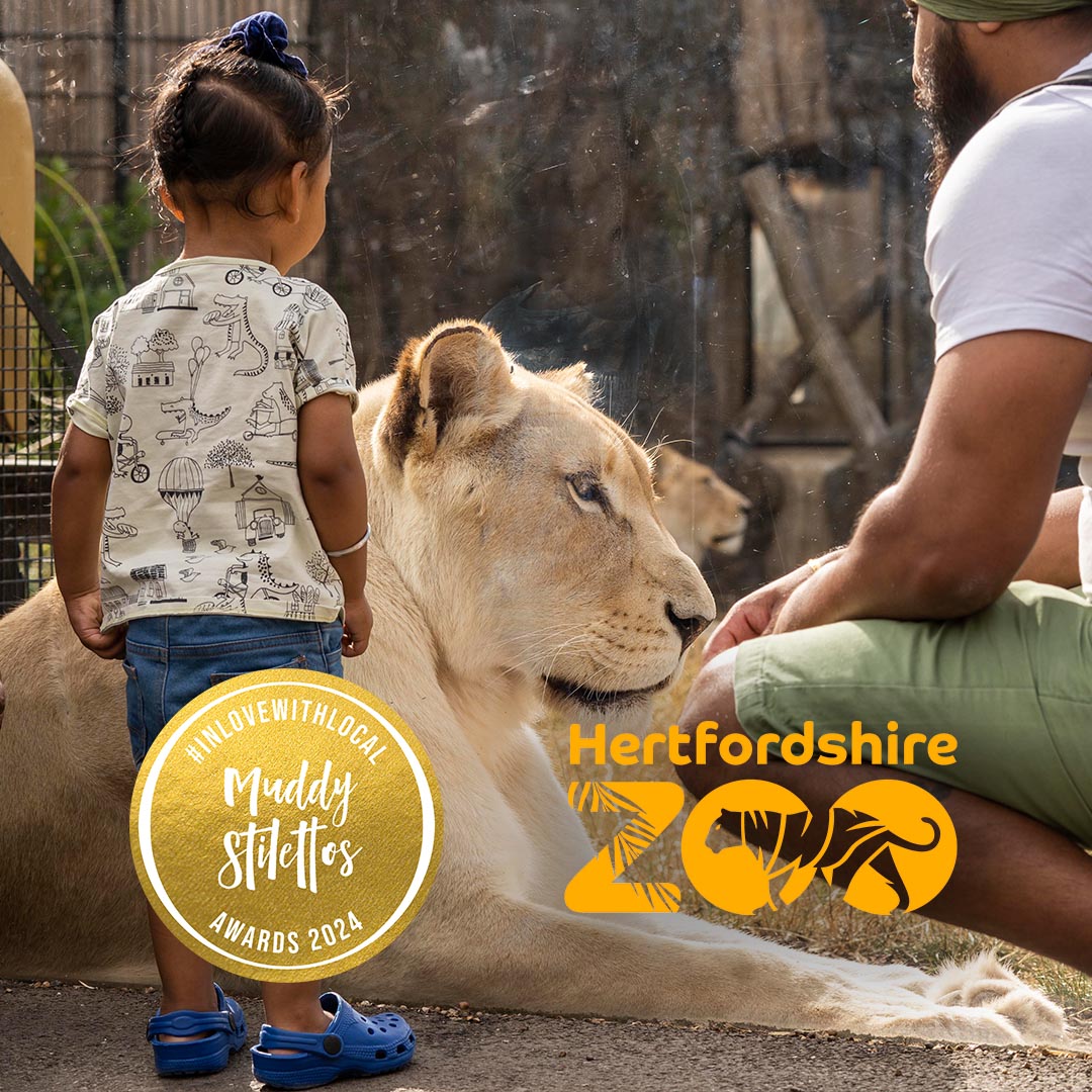 WE NEED YOUR SUPPORT! 🙌 We are excited to announce that we are FINALISTS for the Muddy Stilettos BEST FAMILY ATTRACTION Award in Hertfordshire! 🌟 Click here to vote for us! 👉 herts.muddystilettos.co.uk/awards/vote/ #award #hertfordshirezoo #familyattraction #attraction