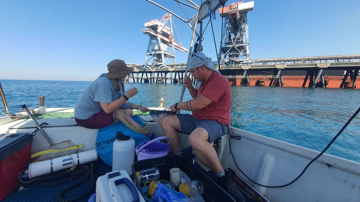 Tamar Guy-Haim (@tamarguyhaim) on Twitter photo Once a month my lab's team is sampling #Plankton in the LTER station at Hadera. Lots of jellyfish and ctenophores came up in our nets today! ๐๐ชผ This winter and spring are amazing for our ongoing ISF research on #jellyfish ecology <a href="/IOLR_Israel/">IOLR ืืงืจ ืืืื ืืืืืื ืืืฉืจืื (ืืื"ื)</a> Once a month my lab's team is sampling #Plankton in the LTER station at Hadera. Lots of jellyfish and ctenophores came up in our nets today! ๐๐ชผ This winter and spring are amazing for our ongoing ISF research on #jellyfish ecology <a href="/IOLR_Israel/">IOLR ืืงืจ ืืืื ืืืืืื ืืืฉืจืื (ืืื"ื)</a>