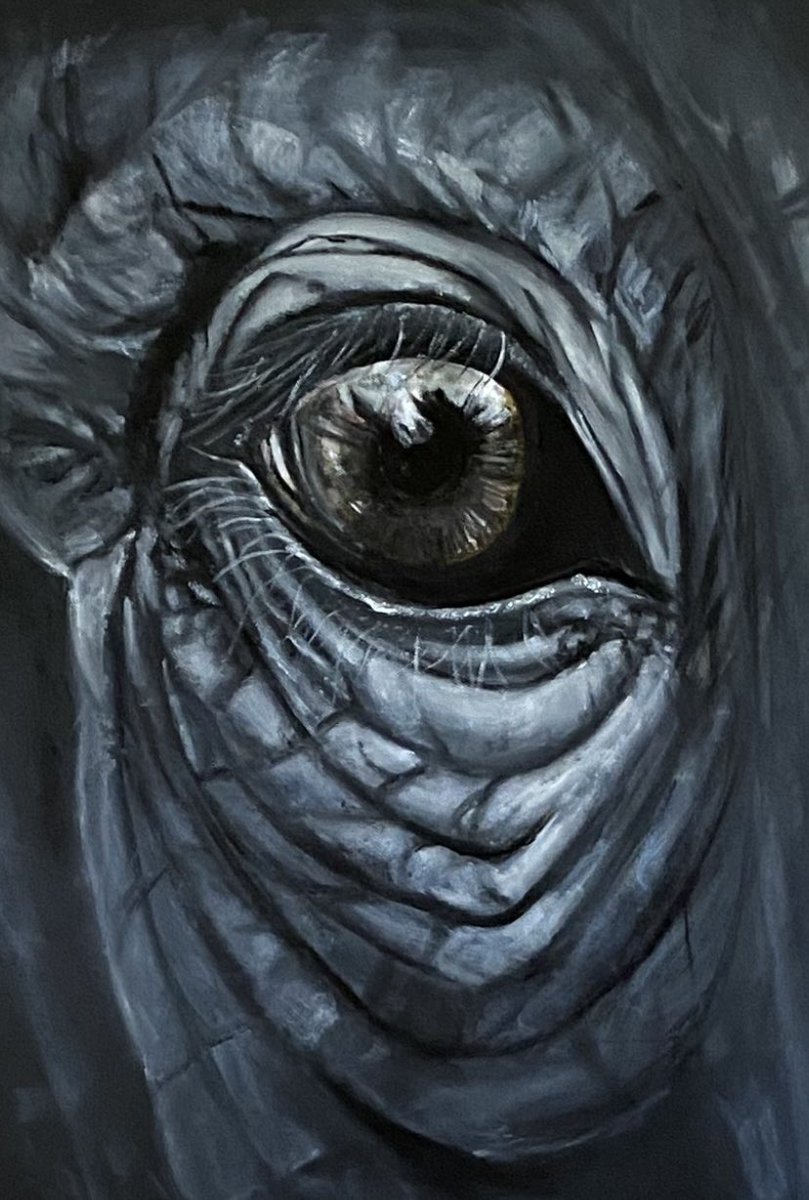 Double lens replacement last week so seeing the world clearly ☺️. Back to #painting and a #psychoanylist would work this one out! #art #oilpainting #elephant #eyes #nature #portrait #originalart #scottishartist #artforsale #IndependentArtist