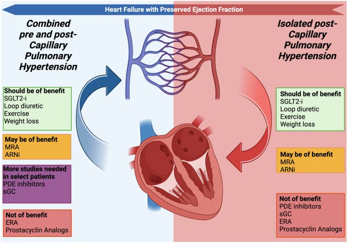 On the heals of the @AssociationWsph, @MUSC_Cardiology AHFTC fellows @eliekozaily1 & @EcemAkdoganMD present our thoughts on management in PH-HFpEF. We hope you enjoy the read! @HajjJennifer @VishalNRao @Carnicelli_Ant @chakri0012 @MUSCCardFellows link.springer.com/article/10.100…