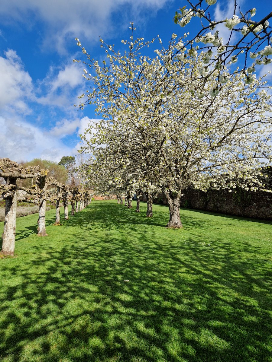 Congratulations to all the Winners of the Visit Kent Big Weekend Competition 🎉 We cannot wait to welcome you all to Penshurst Place and Gardens this weekend!