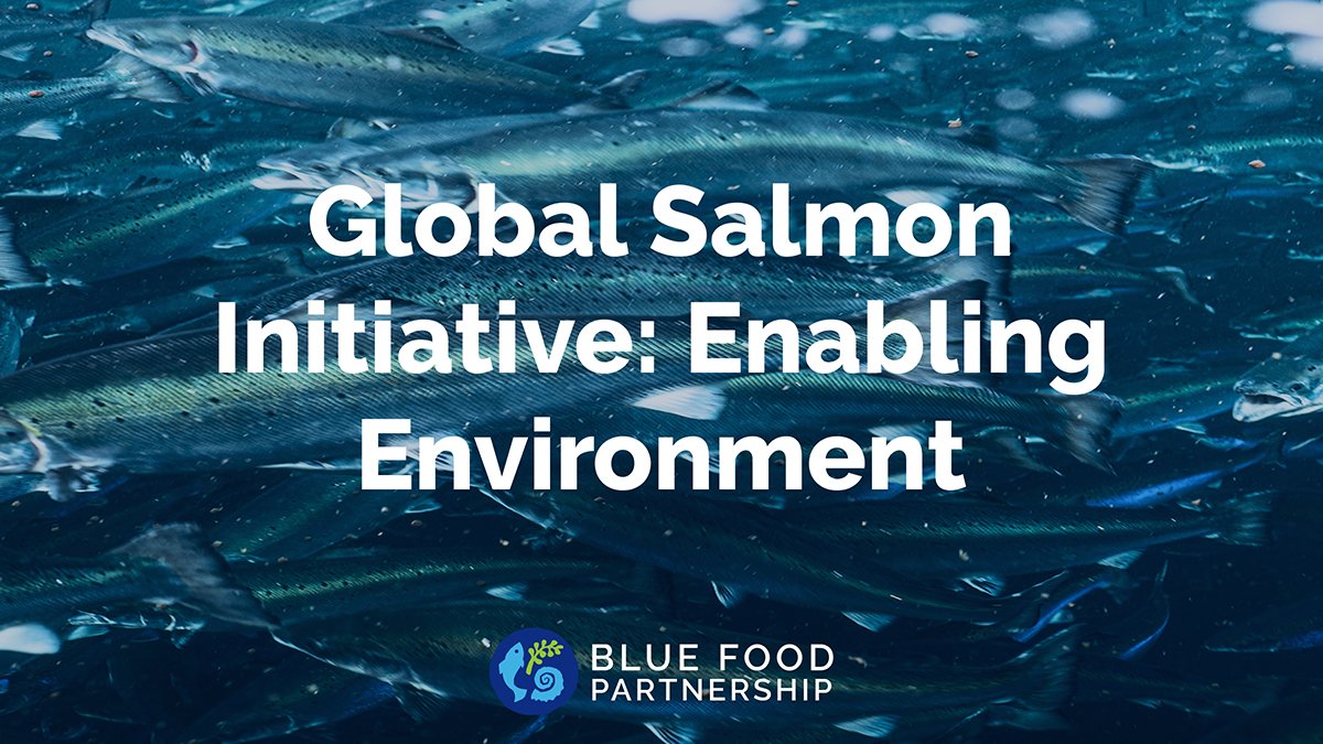 Explore GSI's sustainable #aquaculture impact, from collaborative innovation to data-driven insights. Learn about their commitment to transparency & sustainability in this Global #SustainableAquaculture Roadmap case study by @wef’s @FriendsofOcean 🐟🌿 aquacultureroadmap.org/aquacultureroa…