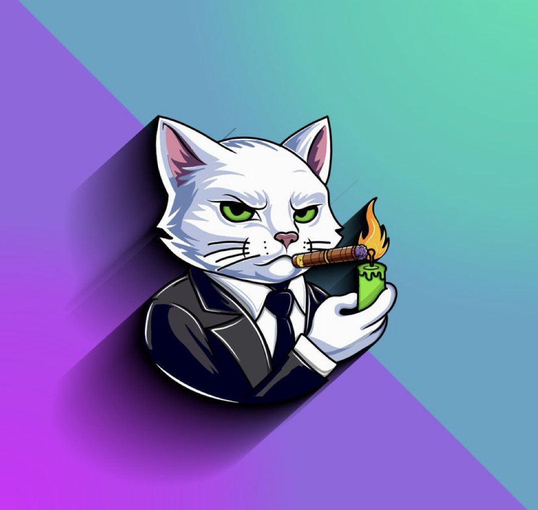 <a href="/ralphscall/">Ralph</a> Grab some $candle 

🕯️backed by <a href="/bull_bnb/">BULL.BNB</a> 

🕯️78 supply burned 

🕯️community run and growing fast 

🕯️promoting world peace with out #candleforpeace movement 

<a href="/CandleOnSol/">Candle Cat</a>