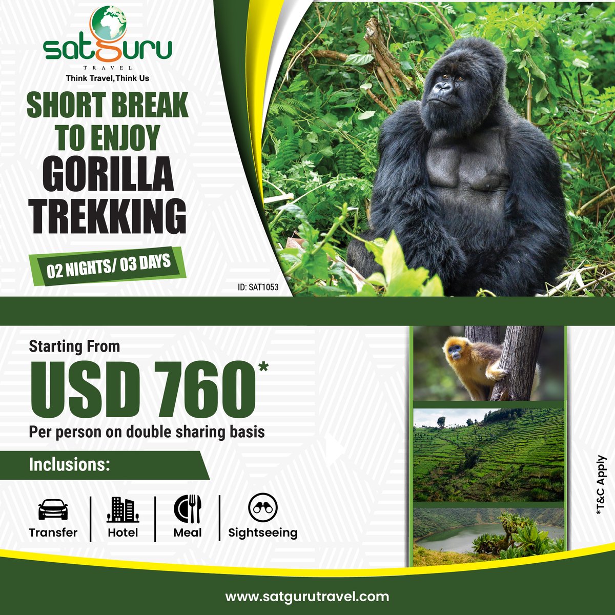 Dive into Rwanda's wild beauty with our Gorilla Trekking Adventure, starting at just $760! satgurutravel.com/exclusive-offe… . . . . #rwanda #gorillatrekking #travel #holiday #holidaypackage #trip #tour #satgurutravel