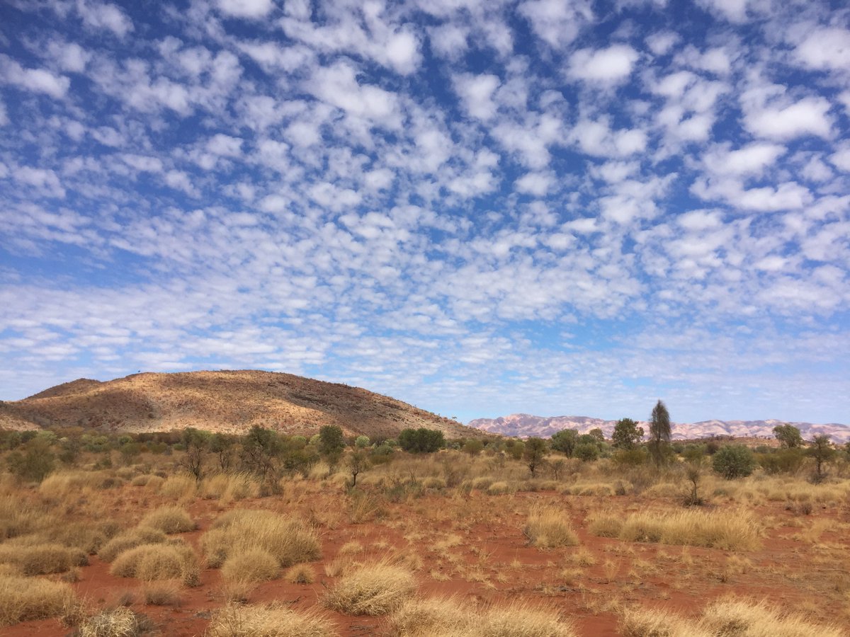 Somewhat late but my dissertation is now online! I look at how syntax and semantics relate to each other in Pintupi-Luritja, a Western Desert (Pama-Nyungan) language of Central Australia, particularly through negation, association with focus and modality