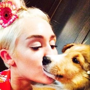 mileyIoves's tweet photo. https://t.co/HWrCpSbjHz