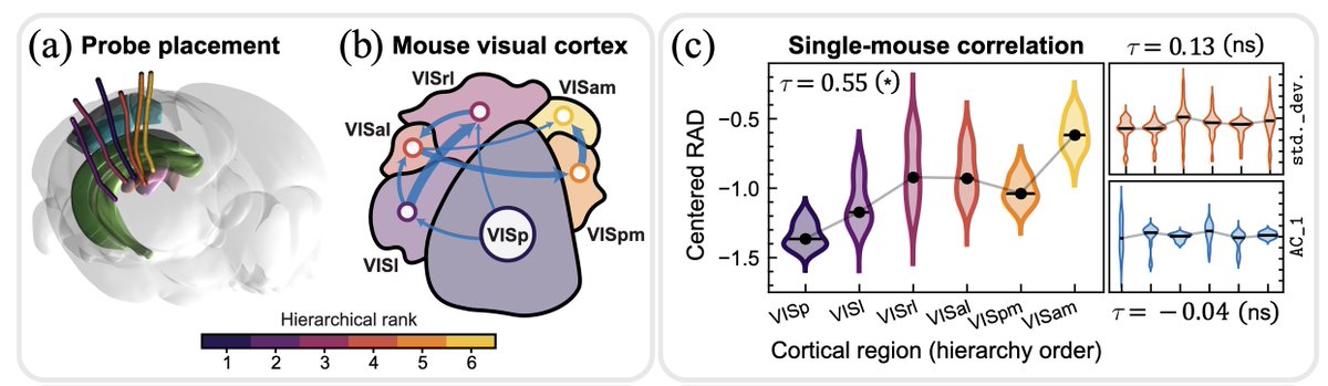 New results now live! Most exciting is  <a href="/brendanjohnh/">Brendan Harris</a> mouse #neuropixels application.
We find that brain areas higher in the visual hierarchy are closer to #criticality (in a way that cannot be detected with existing #timeseries measures) 😄🐭⬇️
arxiv.org/abs/2310.14791