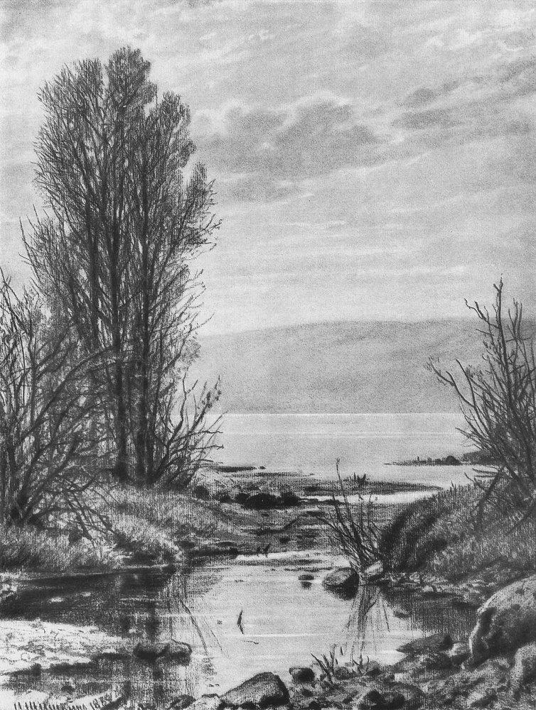 Lakeshore, 1884
Get more Shishkin 🍒 linktr.ee/shishkin_artbot