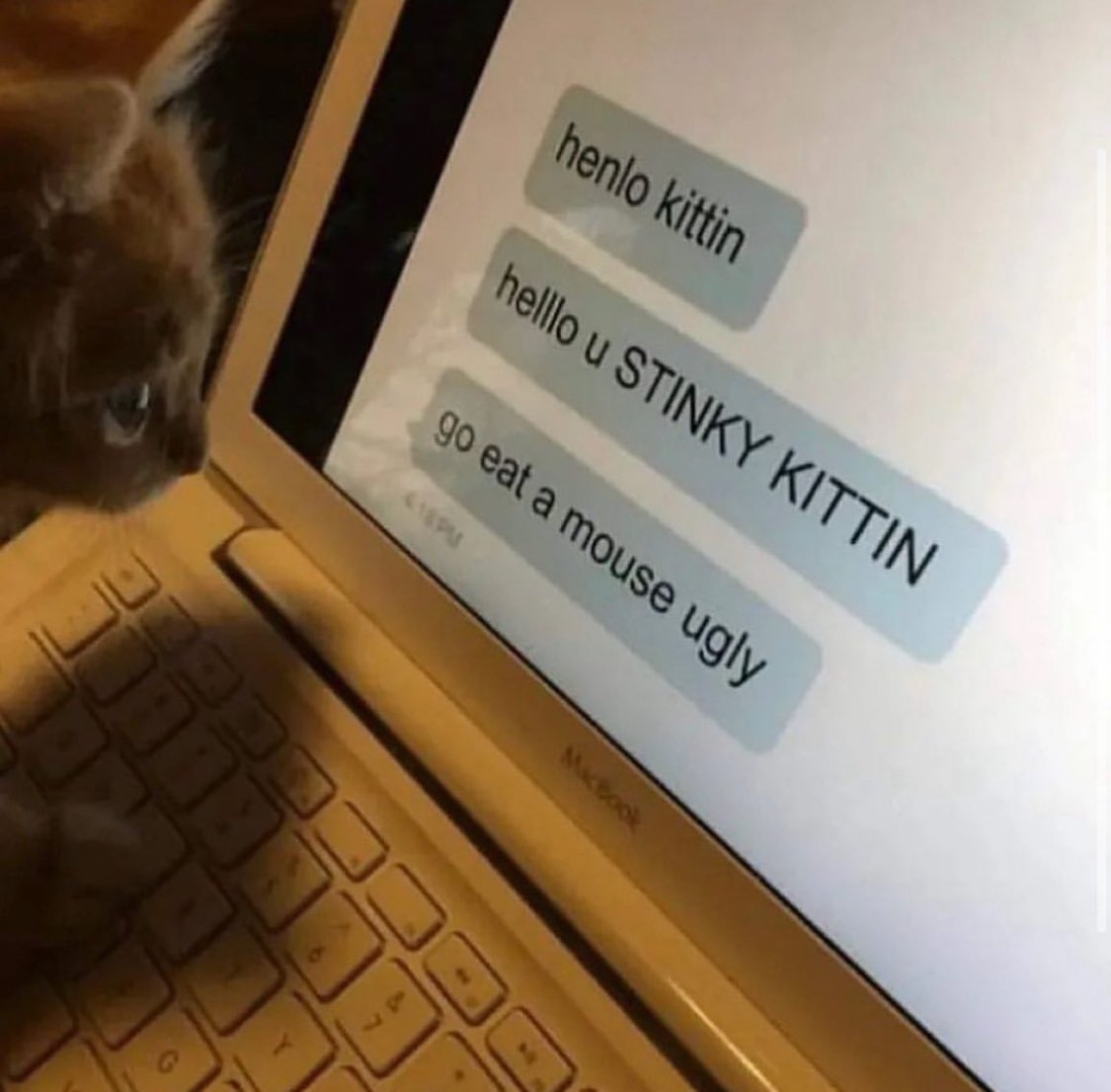 Cyber bullying