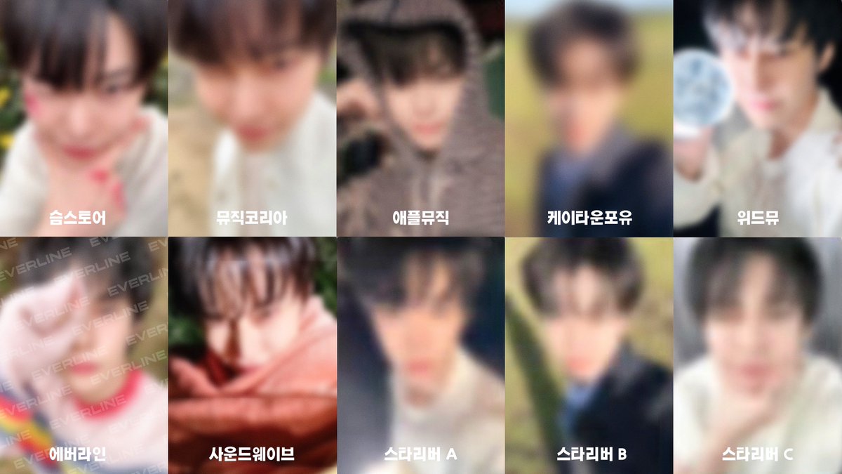 취향의 도영 tweet media