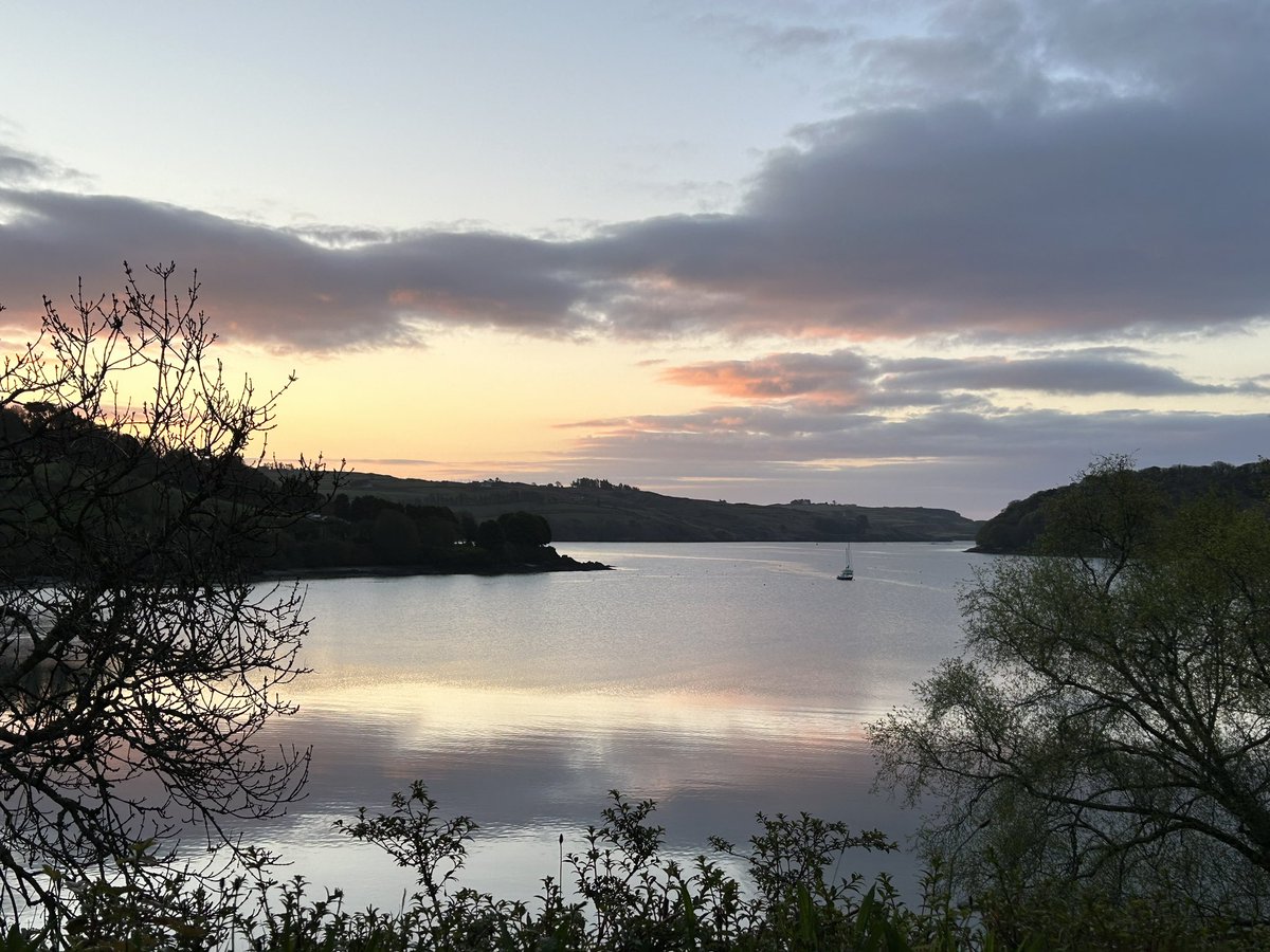 DeasyPamela's tweet photo. Day 108 #day108 of #200dayaofwalking 
06.30am #WestCork #WednesdayMotivation #librarybound 📚💻 https://t.co/kRQX1YQZPF