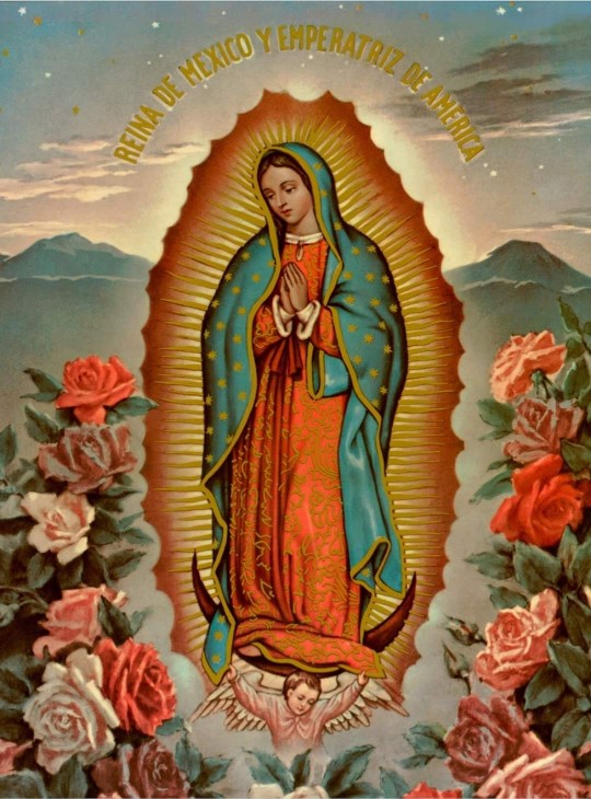 OUR LADY OF GUADALUPE, PRAY FOR US. 🙏