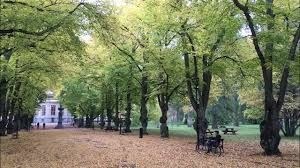 RolandKostic's tweet photo. Come and work with us @hvc_uu! We seek two innovative international postdoctoral projects in #Holocust and #genocide studies. Both are three-year full-time positions and include some travel funds. Please share!
For more: https://t.co/nPcZK8VCcm & https://t.co/814qbkpGkK https://t.co/Fx62iyplGi