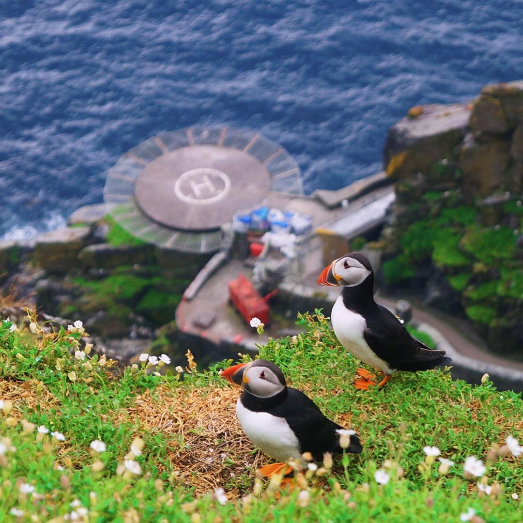 The Skellig Islands, off the Atlantic coast, are home to a huge variety of birds including the Atlantic Puffin. The Puffins return every April and are instantly recognisable from their bright orange beaks, white underparts and black back. 📸 @jeffreycollins_photography