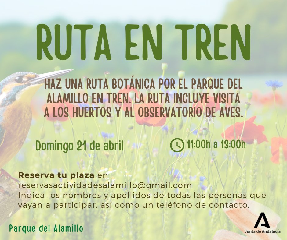 Parque del Alamillo tweet media