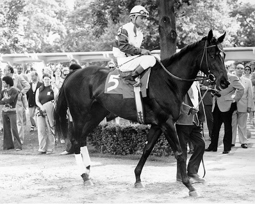 On this day in 1972, Ruffian was foaled. Winner of 10 consecutive races, including the American Triple Tiara. Named the American Champion filly @ 2 & 3. In July 1975, she entered a match with Kentucky Derby winner Foolish Pleasure, in which she broke down & was later euthanized.