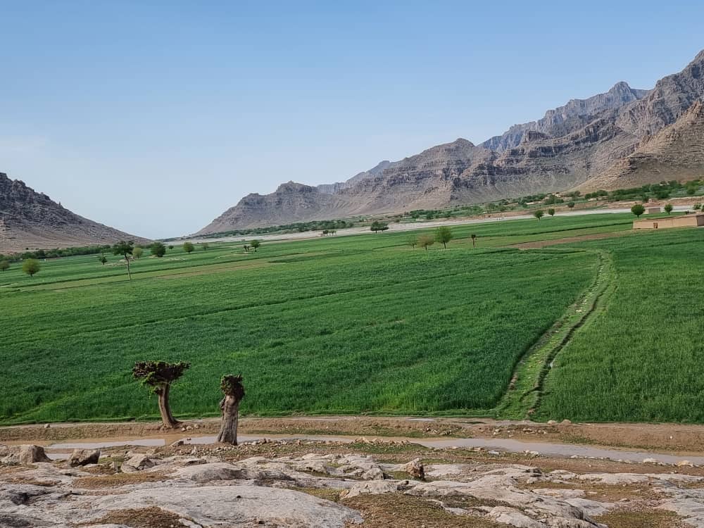 د هلمند ولایت بغنۍ ولسوالۍ

#GreenAfghanistan