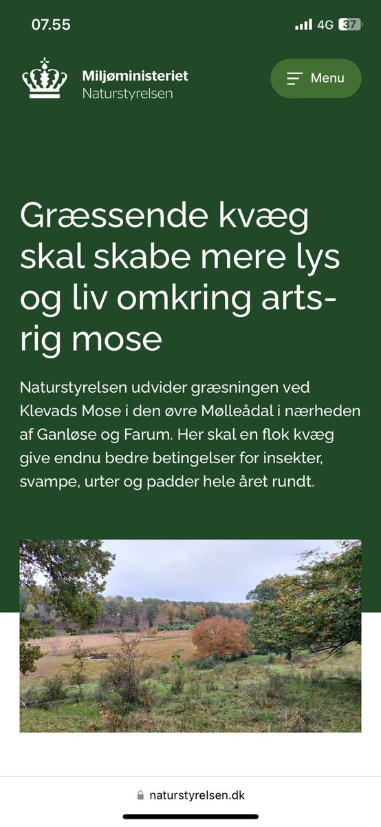 Dejlig nyhed for #dknatur langs Mølleåen: Græsningen ved Klevads Mose udvides til det dobbelte areal og vil fremover ske året rundt. Godt for #biodiversitet og et fint eksempel på sameksistens mellem friluftsliv og græssende dyr. Skud ud til @naturstyrelsen! 🐂🌼🌸🐝🦋🍄🦉🦇🐸💚