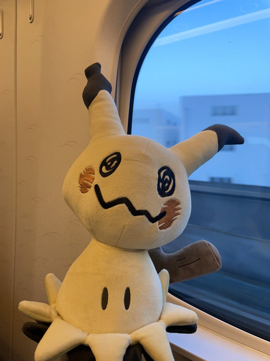 もらった日、そのまま連れてった🚄