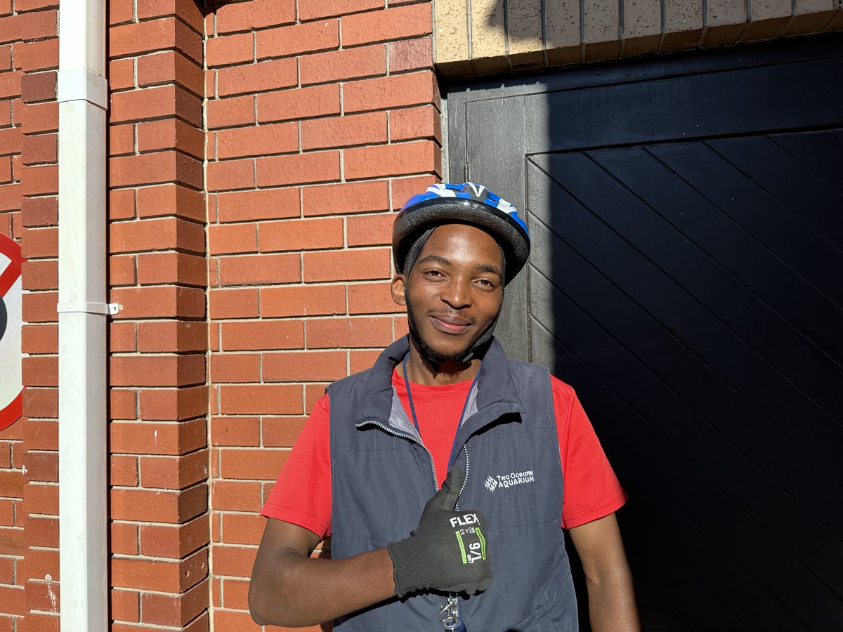 Today's #OceanGuardian is Siyolise Bezu, Wildlife Monitor of the Marine Wildlife Management Programme! 🦭

'I love assisting with disentanglements. It feels good to help minimise the damage to nature by anthropogenic activities,' says Siyolise.

#twooceansaquarium #capetown