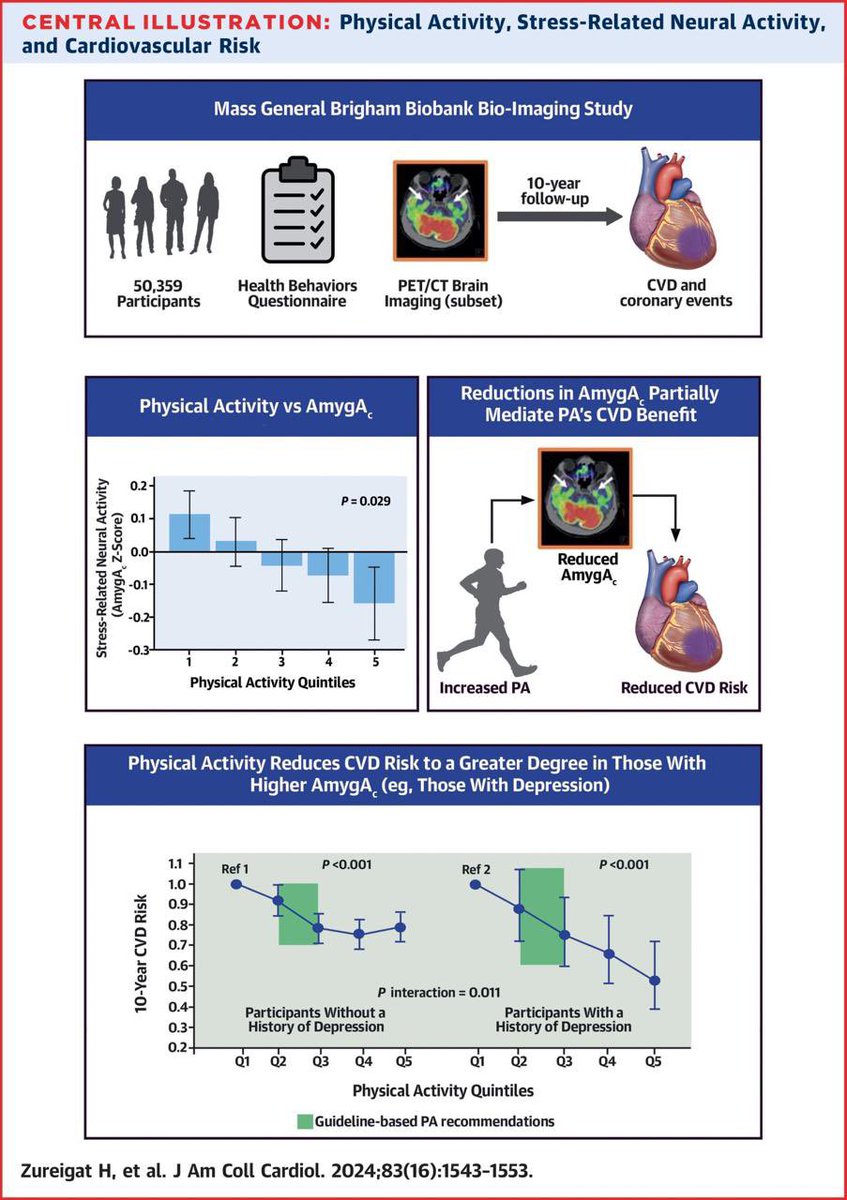 Effect of Stress-Related Neural Pathways on the Cardiovascular Benefit of Physical Activity PA appears to reduce CVD risk in part by acting through the brain’s stress-related activity PA reduces CVD risk to a greater extent individuals with depression jacc.org/doi/abs/10.101…