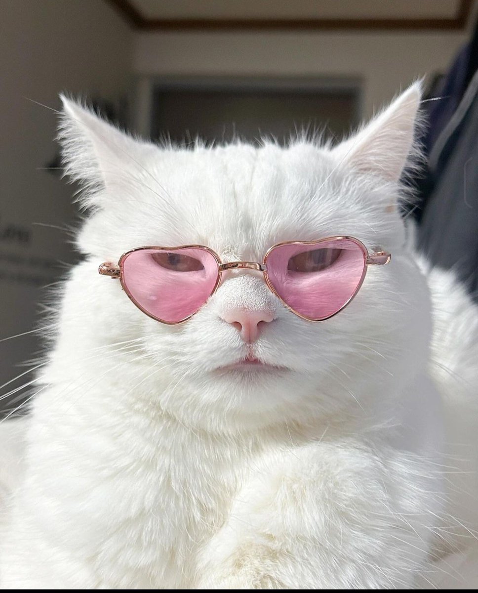Gm