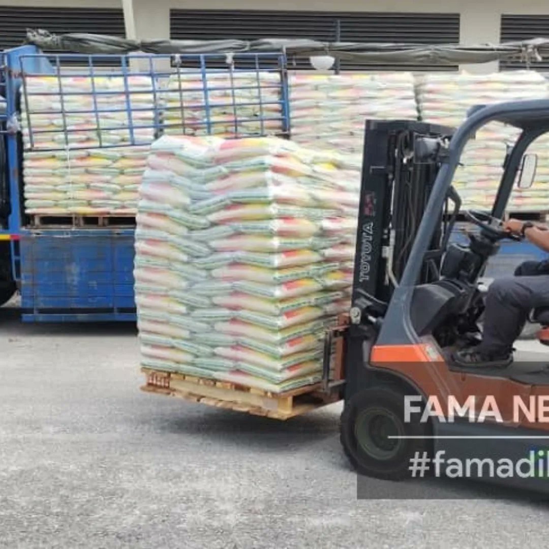 FamaNegeriPerak's tweet photo. 17 April 2024 | Rabu l Pusat Operasi Simpang Pulai

INTERVENSI BERAS PUTIH TEMPATAN https://t.co/sX7A2JK6lZ