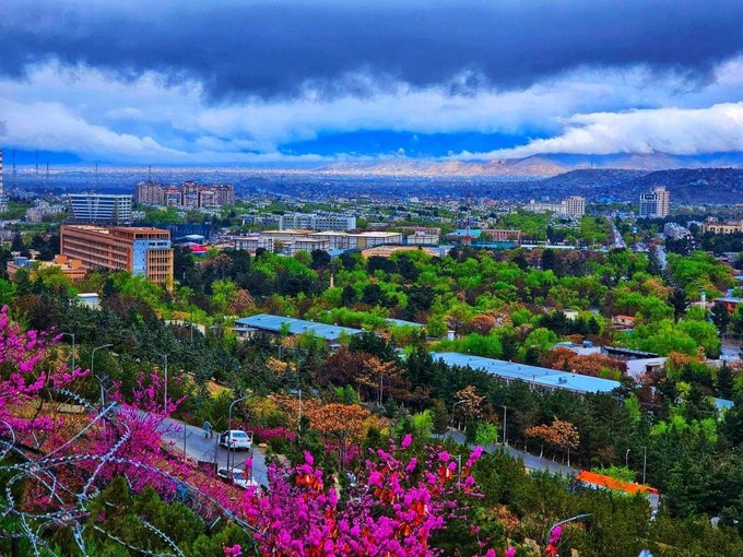 کابل ښار!

#GreenAfghanistan