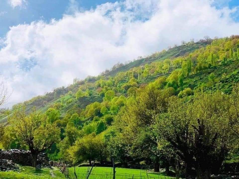 د افغانستان ښکلي بام بدخشان ښایستونه!

#GreenAfghanistan